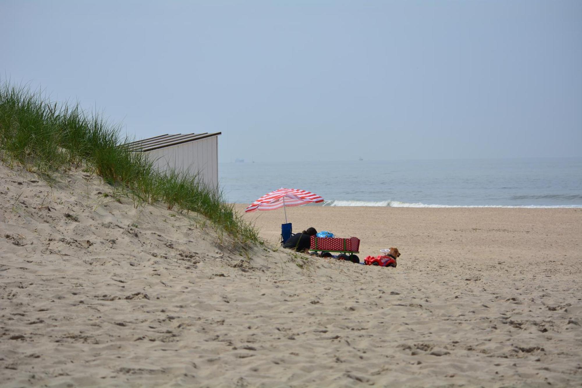 Apartment Faro Greenpark, Cadzand-bad App 06 Cadzand