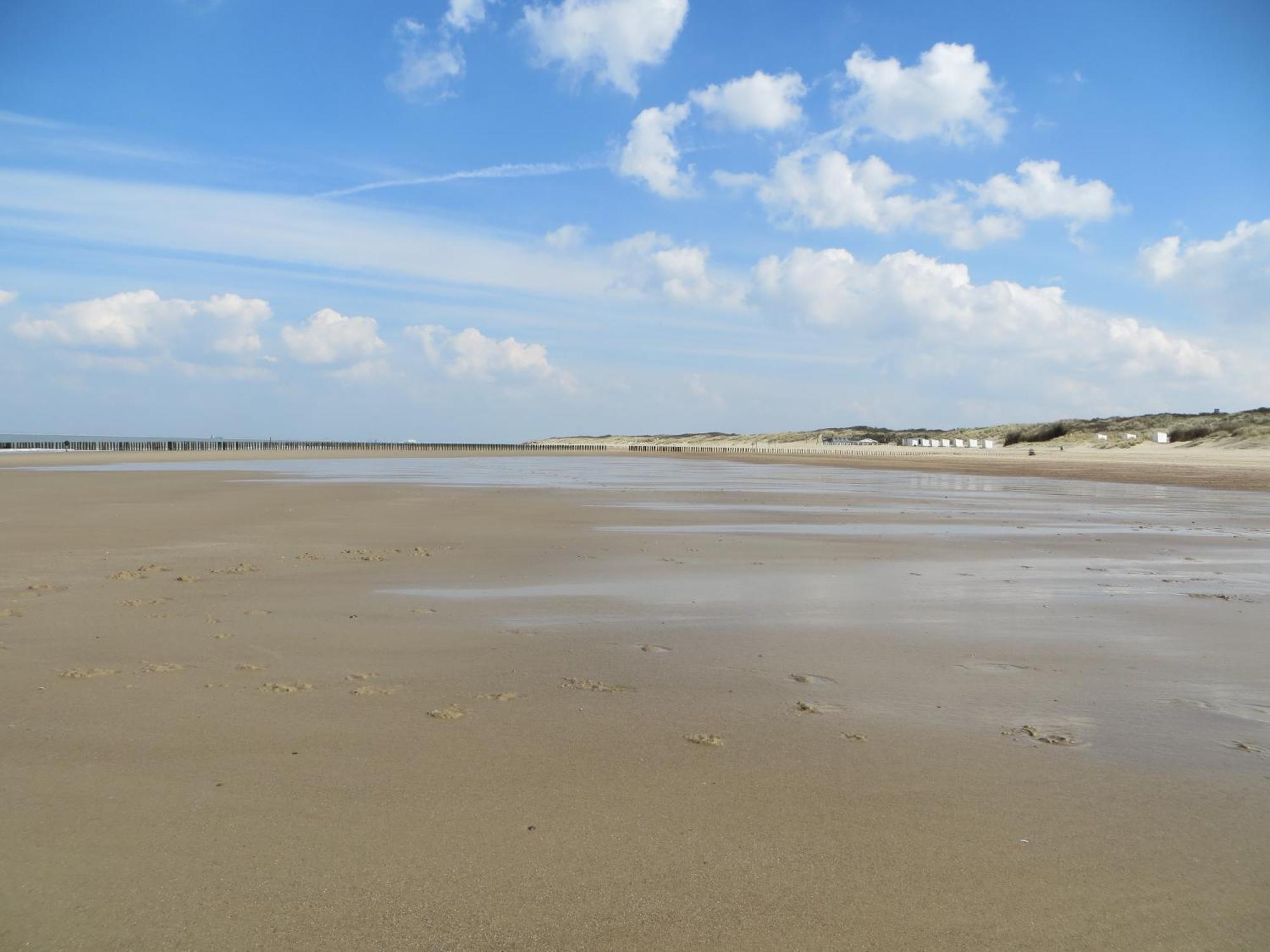 Faro Greenpark, Cadzand-bad App 06